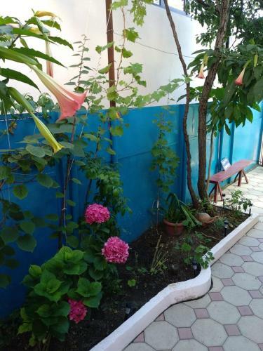 Hostal Nadezhda Guest House