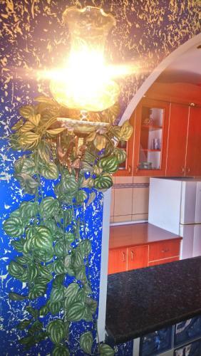 Apartamento Garden