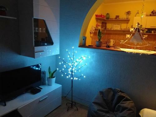 Apartman Fenix