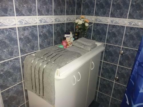 Apartman Fenix