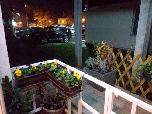 Apartman Fenix