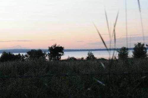 Bay Cottage Bed & Breakfast