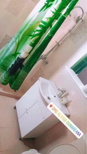 Hostal Albina Dunareana