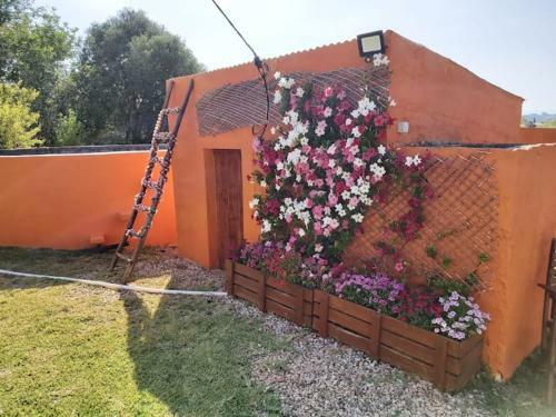 Quinta Das Noras - Moradia Com Piscina E Jacuzzi