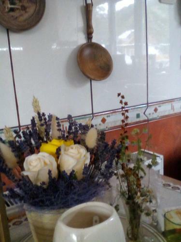 Hostal Casa Bezdead