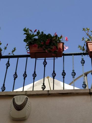 Bed & Breakfast Il Vicoletto