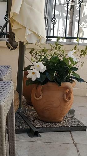 Bed & Breakfast Il Vicoletto