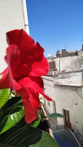 Bed & Breakfast Il Vicoletto