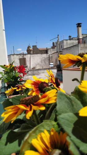 Bed & Breakfast Il Vicoletto