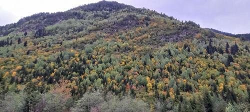 Hostal Mountain Star In Mestia