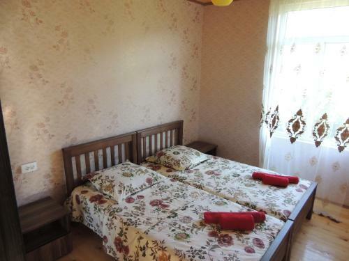 Hostal Udesiani's Family Guesthouse