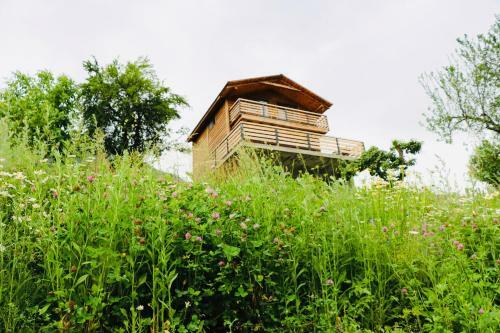 Villa Dabderr Mestia