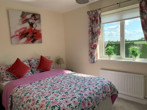 Two Bedroom Town House Beside The River Barrow