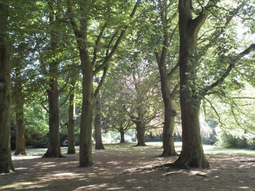 B&B Studio De Bilt