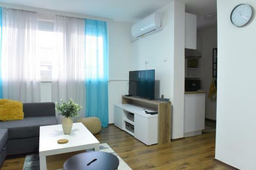 Central Apartment