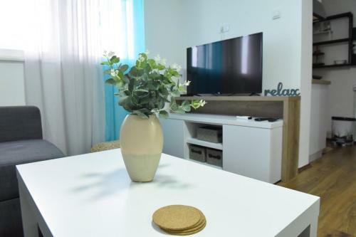 Central Apartment