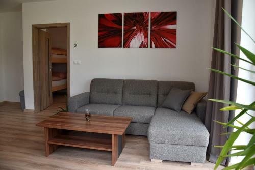 Apartamento Elemir
