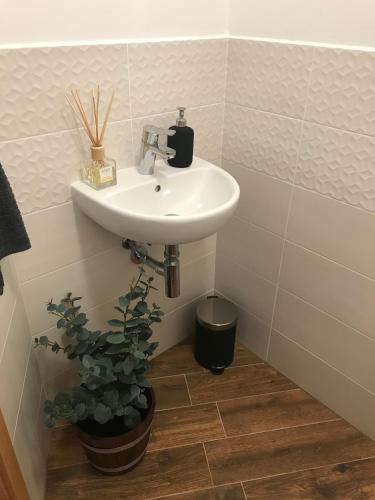 Apartamento Mymara 19