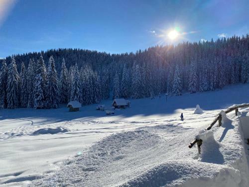 Chalet Ivi