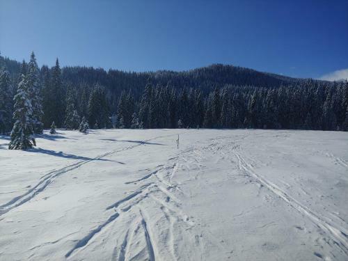 Villa Pokljuka