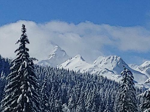 Villa Pokljuka