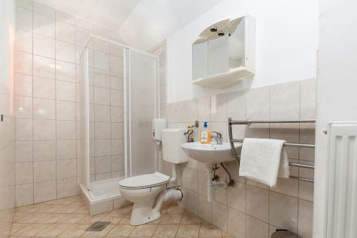 Hostal Gosti??e Vintgar