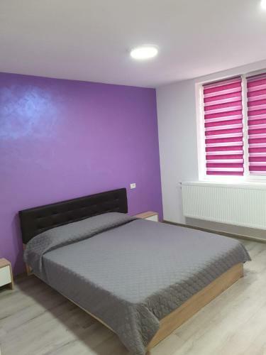Apartament Negris