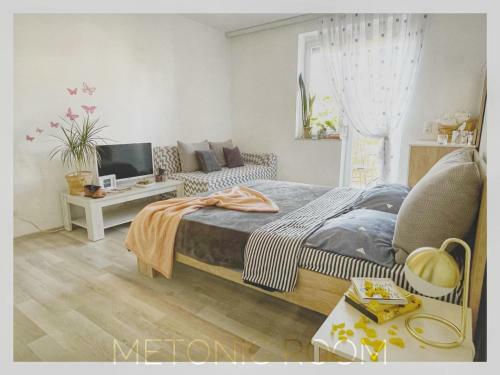 Apartamento Metonic Room