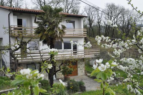 Apartma Baj?i