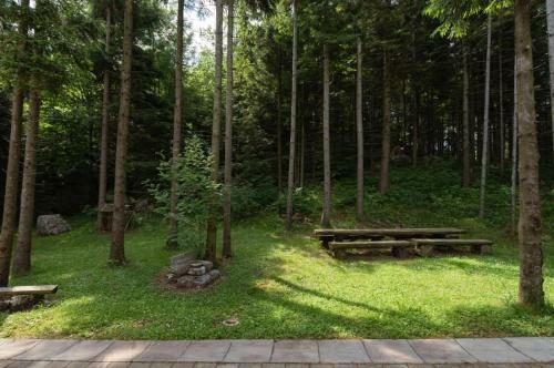 Apartmaji Velikonja