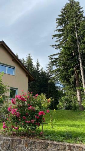 Apartmaji Velikonja