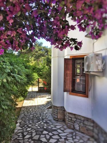 Apartamento Villa Bonde