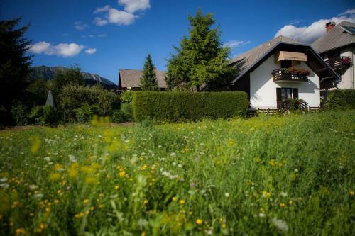 Apartments Ladka