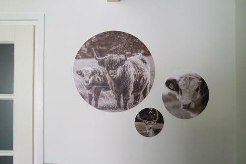 B&B 't Veluws Diep