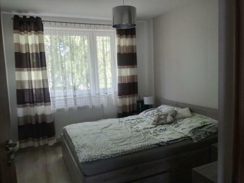 Apartament Tomasz