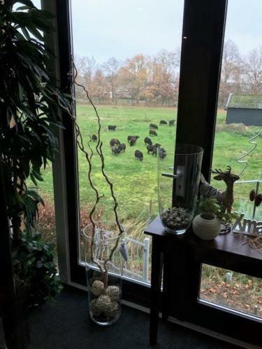 Boutique Hotel En B&B de Zwammenberg