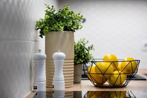 Brivibas House Design Apartments In City Center