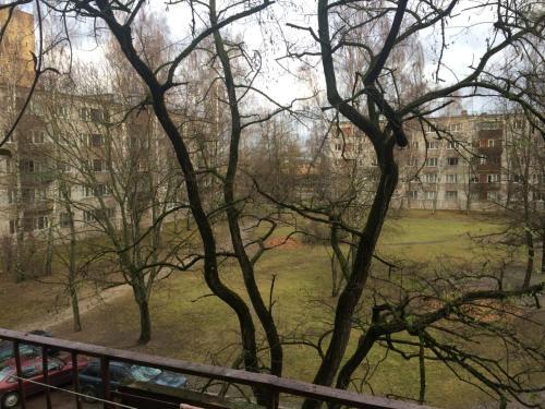 2 Bedrooms Free Parking 50 M Cosy Apartament.