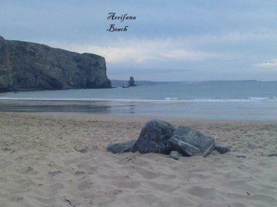 Apartamento Beach&surf Flat