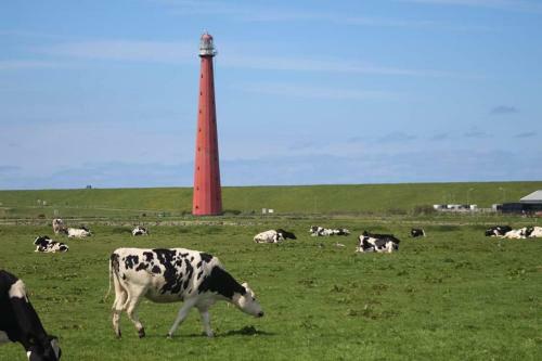 Bed & Breakfast Overnachten Onder de Lange Jaap