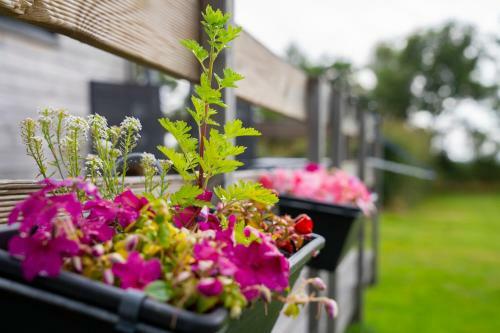 Hostal B&B Johanneshoeve - de Mooiste Plek Op Texel