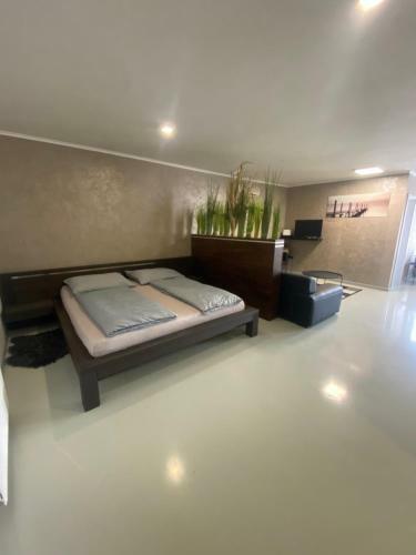 Apartments Renesance 1