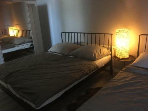 Apartments Renesance