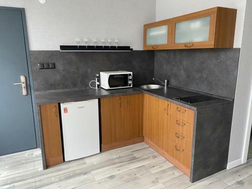 Apartments Renesance