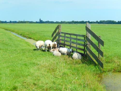 Bed & Breakfast Villa Waterland