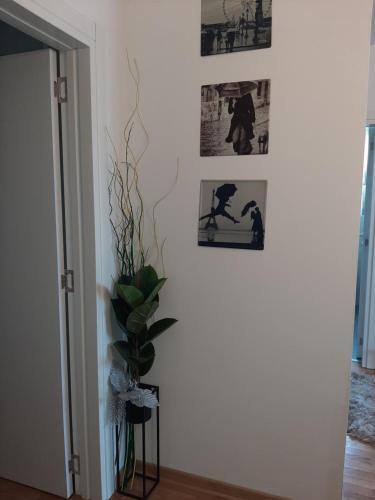 Apartamento Tanja3