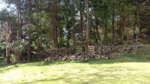 Hostal Spring Grove Guesthouse