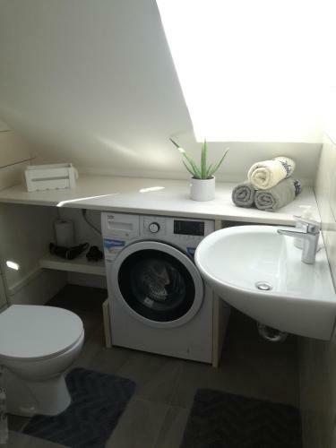 Apartment Kokoro