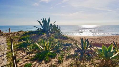 Apartamento Jardins Do Golf, Val Do Lobo