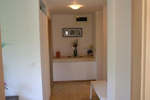 Dream Apartment Brglez